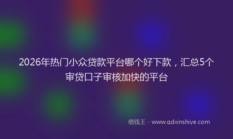 2026年热门小众贷款平台哪个好下款,汇总5个审贷口子审核加快的平台