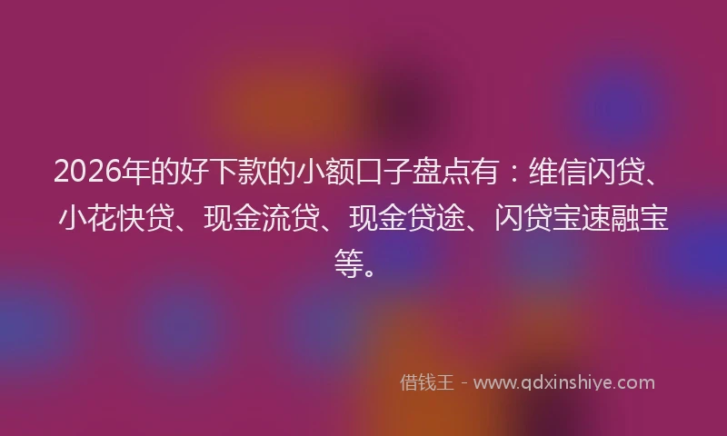 2026年的好下款的小额口子盘点有：维信闪贷、小花快贷、现金流贷、现金贷途、闪贷宝速融宝等。
