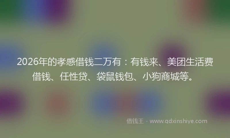 2026年的孝感借钱二万有：有钱来、美团生活费借钱、任性贷、袋鼠钱包、小狗商城等。