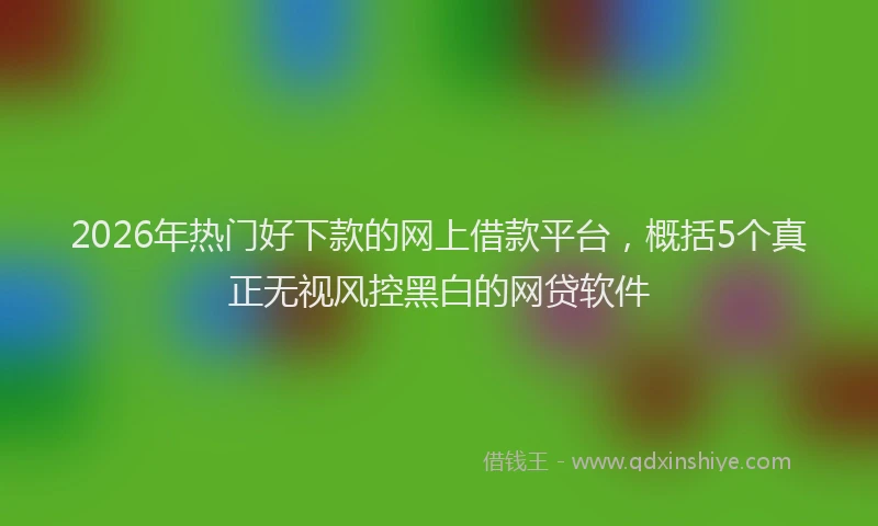 2026年热门好下款的网上借款平台，概括5个真正无视风控黑白的网贷软件