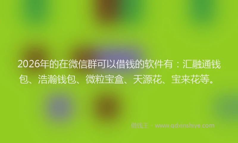 2026年的在微信群可以借钱的软件有：汇融通钱包、浩瀚钱包、微粒宝盒、天源花、宝来花等。