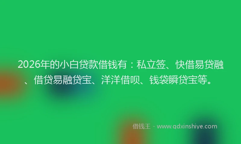 2026年的小白贷款借钱有：私立签、快借易贷融、借贷易融贷宝、洋洋借呗、钱袋瞬贷宝等。