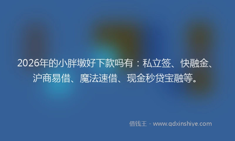 2026年的小胖墩好下款吗有：私立签、快融金、沪商易借、魔法速借、现金秒贷宝融等。