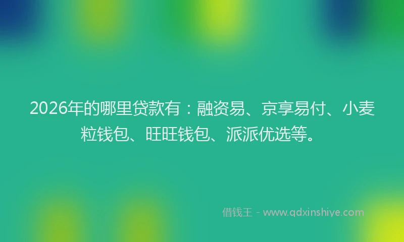 2026年的哪里贷款有：融资易、京享易付、小麦粒钱包、旺旺钱包、派派优选等。