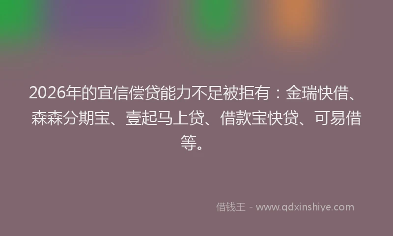 2026年的宜信偿贷能力不足被拒有：金瑞快借、森森分期宝、壹起马上贷、借款宝快贷、可易借等。