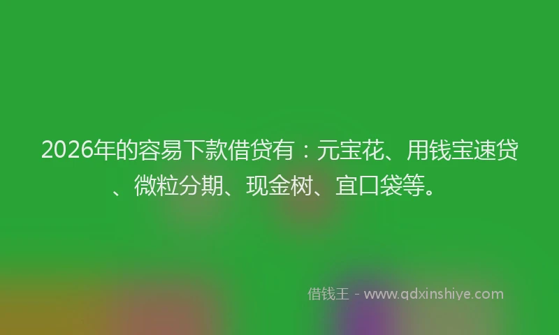 2026年的容易下款借贷有:元宝花、用钱宝速贷、微粒分期、现金树、宜口袋等。