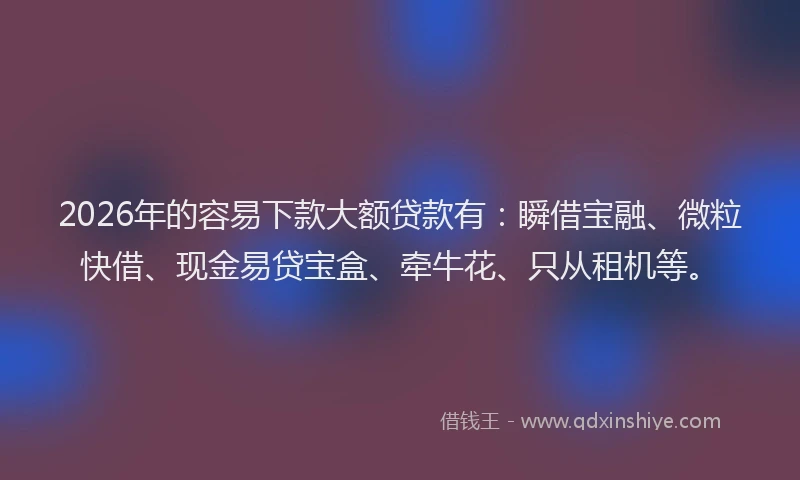 2026年的容易下款大额贷款有：瞬借宝融、微粒快借、现金易贷宝盒、牵牛花、只从租机等。