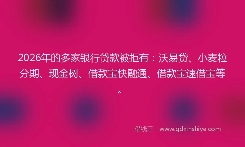 2026年的多家银行贷款被拒有：沃易贷、小麦粒分期、现金树、借款宝快融通、借款宝速借宝等。