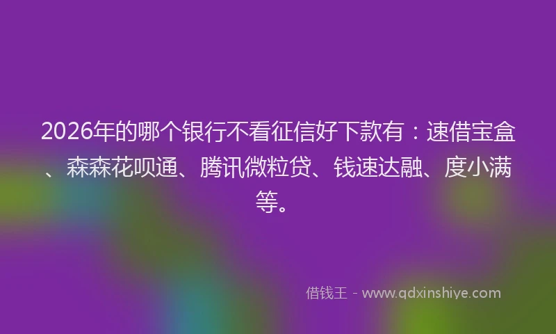 2026年的哪个银行不看征信好下款有：速借宝盒、森森花呗通、腾讯微粒贷、钱速达融、度小满等。