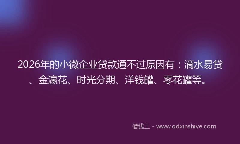 2026年的小微企业贷款通不过原因有：滴水易贷、金瀛花、时光分期、洋钱罐、零花罐等。