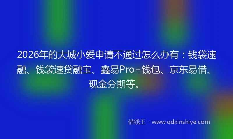 2026年的大城小爱申请不通过怎么办有：钱袋速融、钱袋速贷融宝、鑫易Pro+钱包、京东易借、现金分期等。
