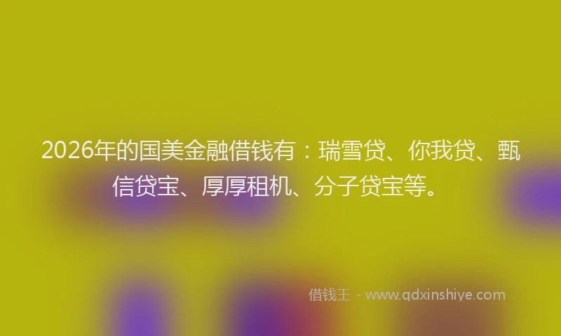 2026年的国美金融借钱有：瑞雪贷、你我贷、甄信贷宝、厚厚租机、分子贷宝等。