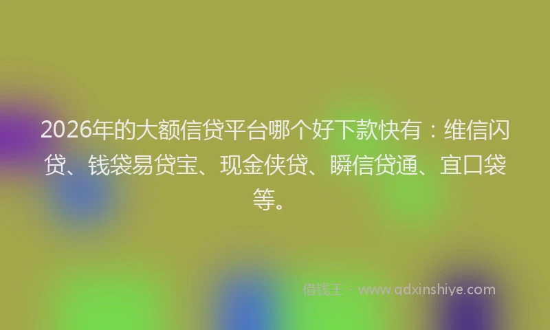 2026年的大额信贷平台哪个好下款快有：维信闪贷、钱袋易贷宝、现金侠贷、瞬信贷通、宜口袋等。
