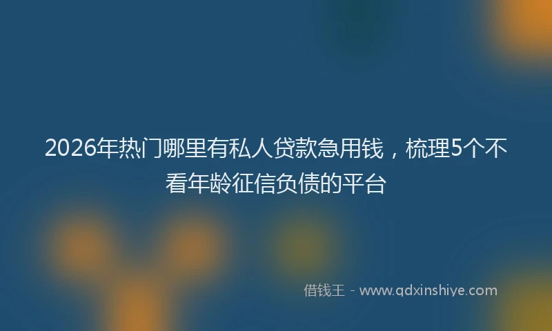 2026年热门哪里有私人贷款急用钱，梳理5个不看年龄征信负债的平台