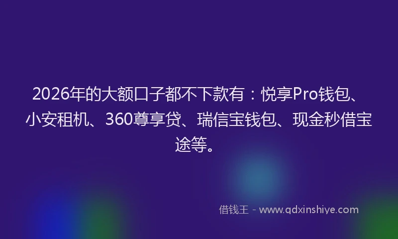 2026年的大额口子都不下款有：悦享Pro钱包、小安租机、360尊享贷、瑞信宝钱包、现金秒借宝途等。