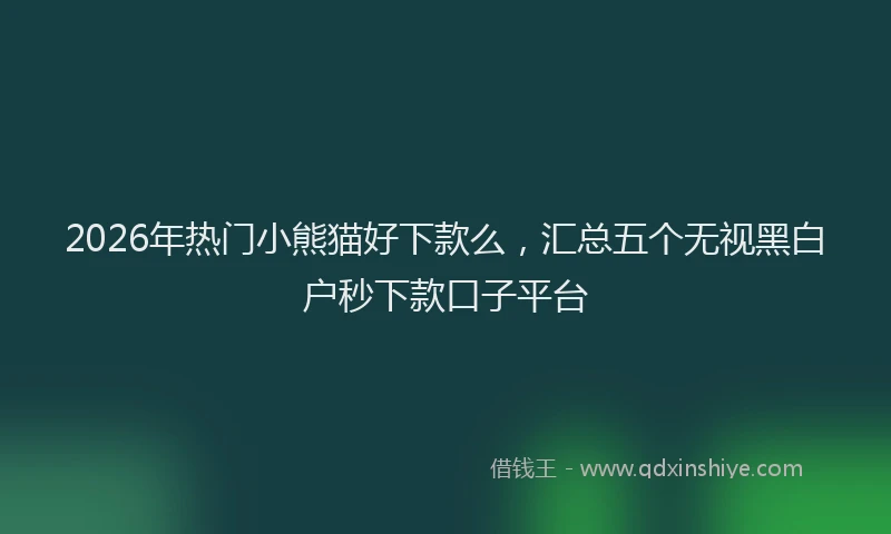 2026年热门小熊猫好下款么,汇总五个无视黑白户秒下款口子平台