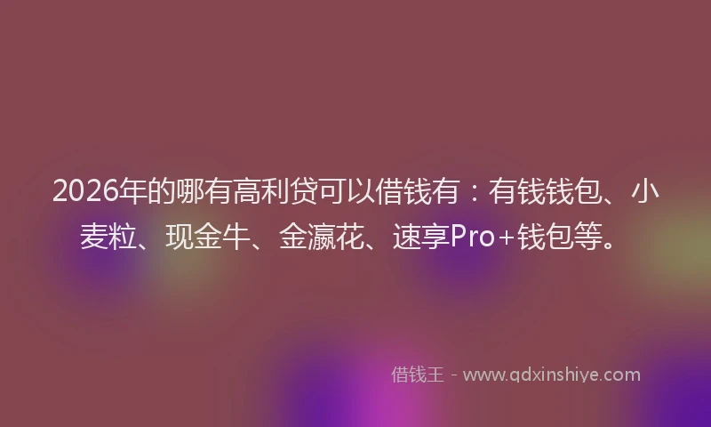 2026年的哪有高利贷可以借钱有：有钱钱包、小麦粒、现金牛、金瀛花、速享Pro+钱包等。