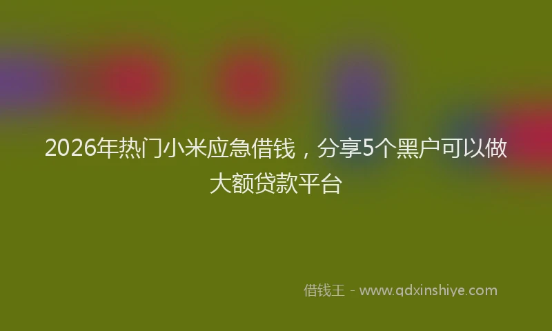 2026年热门小米应急借钱，分享5个黑户可以做大额贷款平台