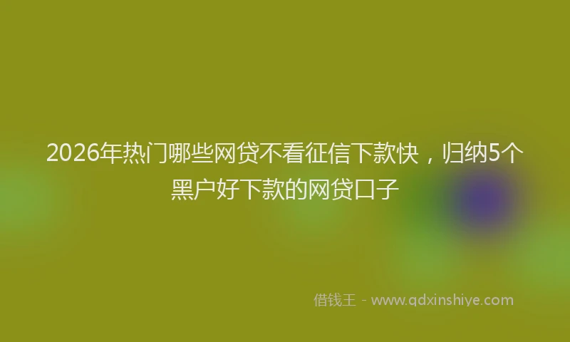 2026年热门哪些网贷不看征信下款快，归纳5个黑户好下款的网贷口子