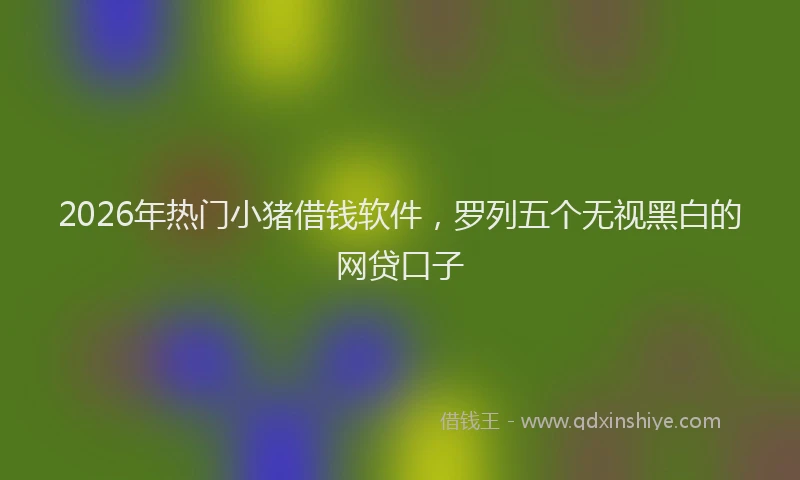2026年热门小猪借钱软件，罗列五个无视黑白的网贷口子