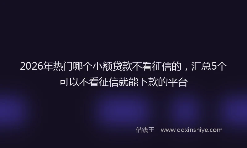2026年热门哪个小额贷款不看征信的，汇总5个可以不看征信就能下款的平台
