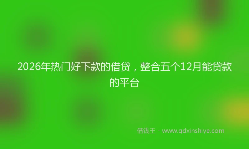 2026年热门好下款的借贷，整合五个12月能贷款的平台