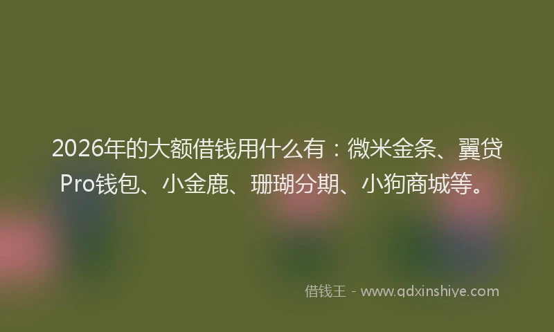 2026年的大额借钱用什么有：微米金条、翼贷Pro钱包、小金鹿、珊瑚分期、小狗商城等。