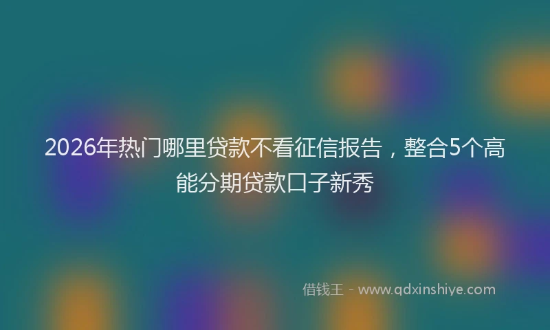 2026年热门哪里贷款不看征信报告，整合5个高能分期贷款口子新秀