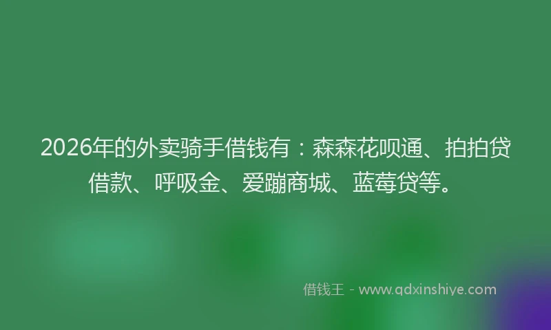 2026年的外卖骑手借钱有：森森花呗通、拍拍贷借款、呼吸金、爱蹦商城、蓝莓贷等。