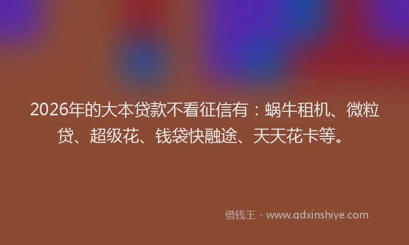 2026年的大本贷款不看征信有：蜗牛租机、微粒贷、超级花、钱袋快融途、天天花卡等。