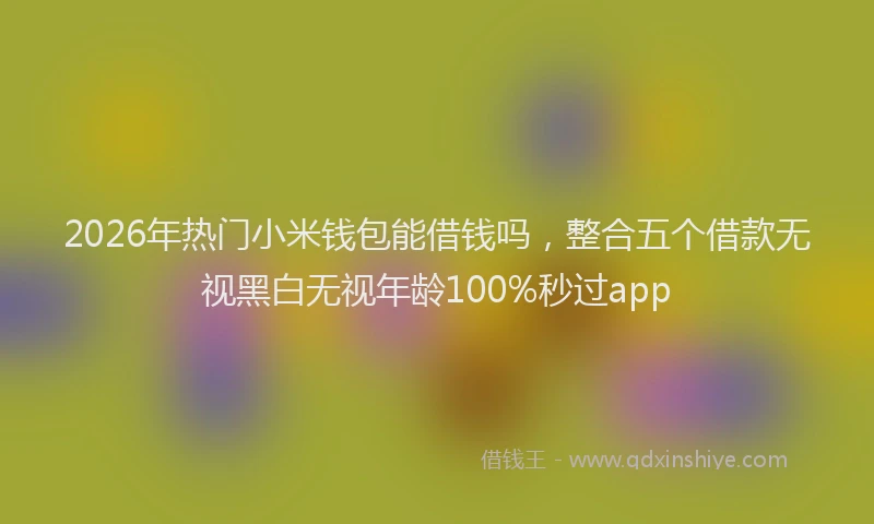 2026年热门小米钱包能借钱吗,整合五个借款无视黑白无视年龄100%秒过app