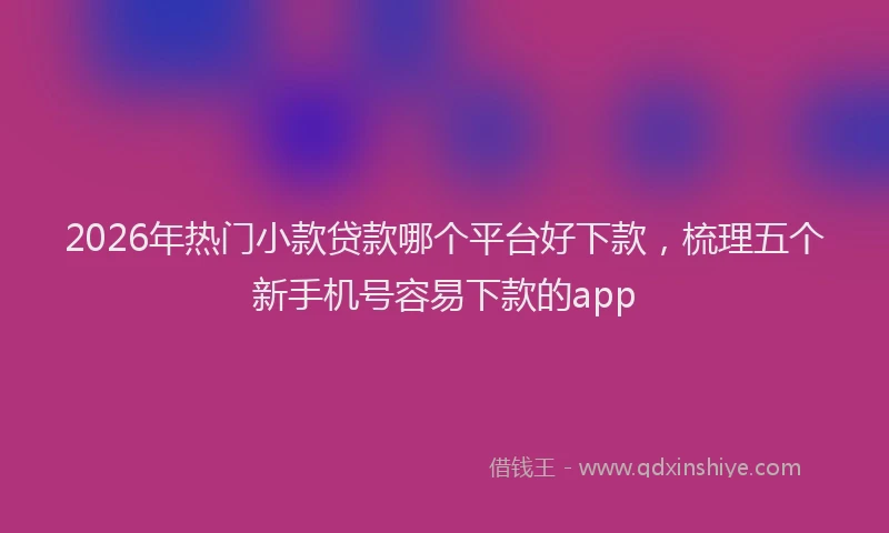2026年热门小款贷款哪个平台好下款，梳理五个新手机号容易下款的app