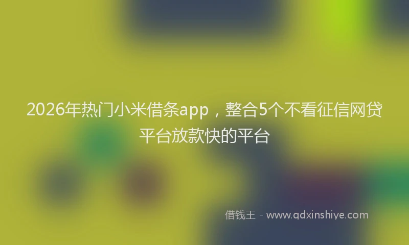 2026年热门小米借条app，整合5个不看征信网贷平台放款快的平台
