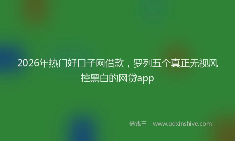 2026年热门好口子网借款，罗列五个真正无视风控黑白的网贷app
