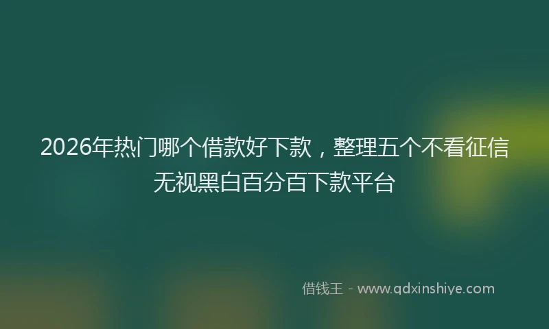 2026年热门哪个借款好下款，整理五个不看征信无视黑白百分百下款平台