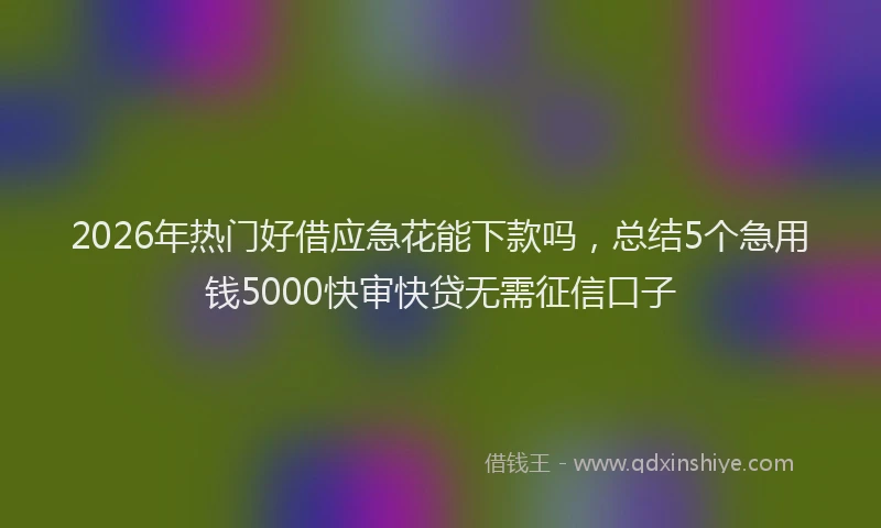 2026年热门好借应急花能下款吗，总结5个急用钱5000快审快贷无需征信口子