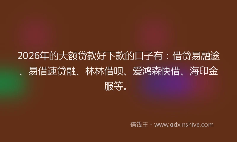 2026年的大额贷款好下款的口子有：借贷易融途、易借速贷融、林林借呗、爱鸿森快借、海印金服等。