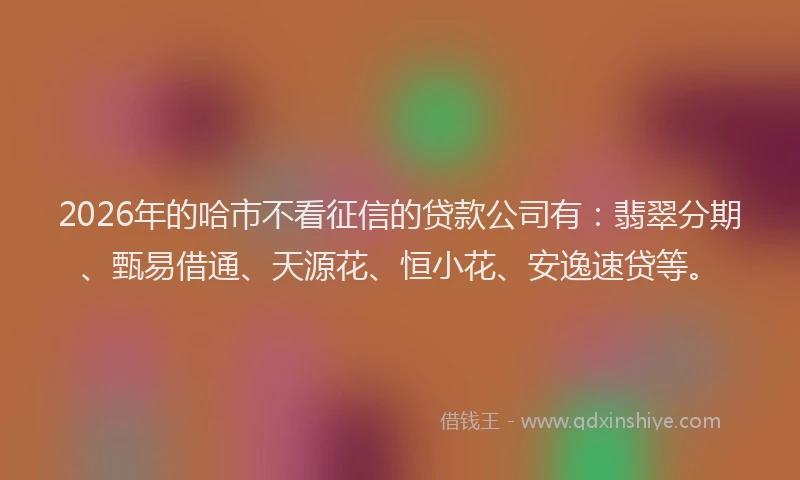 2026年的哈市不看征信的贷款公司有：翡翠分期、甄易借通、天源花、恒小花、安逸速贷等。