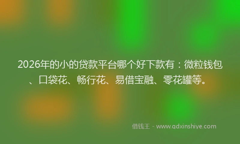 2026年的小的贷款平台哪个好下款有：微粒钱包、口袋花、畅行花、易借宝融、零花罐等。