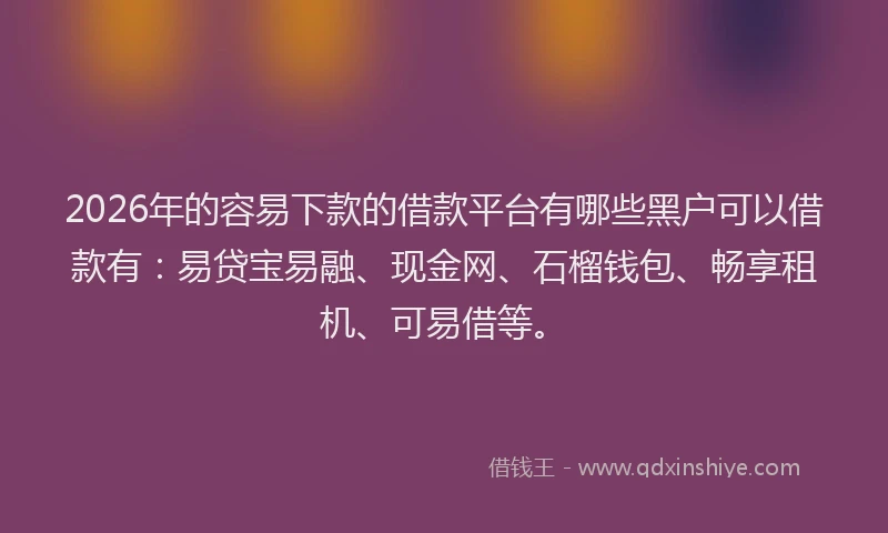 2026年的容易下款的借款平台有哪些黑户可以借款有：易贷宝易融、现金网、石榴钱包、畅享租机、可易借等。