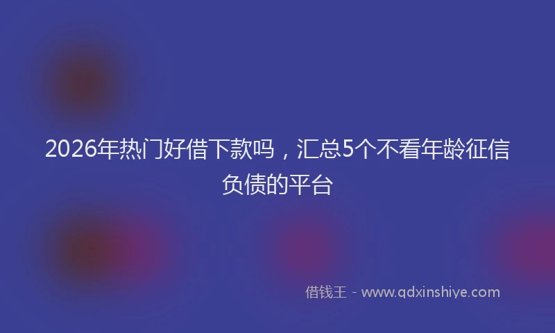 2026年热门好借下款吗，汇总5个不看年龄征信负债的平台