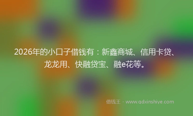 2026年的小口子借钱有：新鑫商城、信用卡贷、龙龙用、快融贷宝、融e花等。