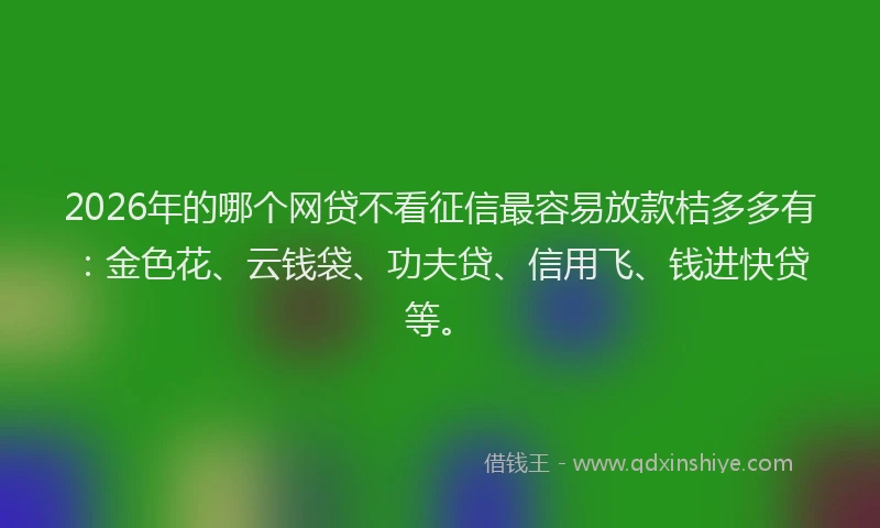 2026年的哪个网贷不看征信最容易放款桔多多有：金色花、云钱袋、功夫贷、信用飞、钱进快贷等。