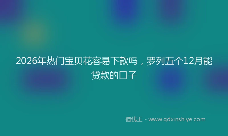 2026年热门宝贝花容易下款吗，罗列五个12月能贷款的口子