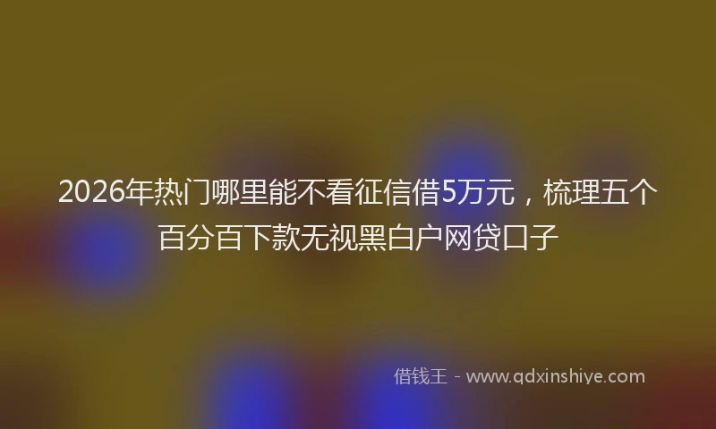 2026年热门哪里能不看征信借5万元，梳理五个百分百下款无视黑白户网贷口子