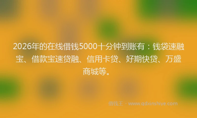 2026年的在线借钱5000十分钟到账有：钱袋速融宝、借款宝速贷融、信用卡贷、好期快贷、万盛商城等。