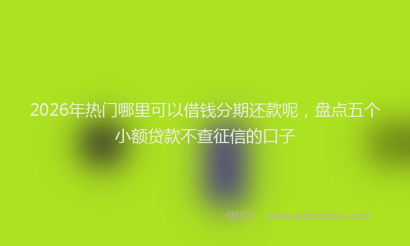 2026年热门哪里可以借钱分期还款呢，盘点五个小额贷款不查征信的口子