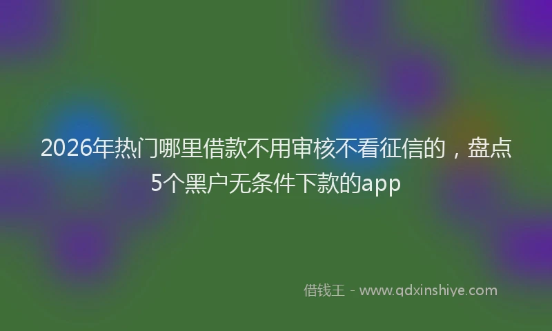 2026年热门哪里借款不用审核不看征信的，盘点5个黑户无条件下款的app