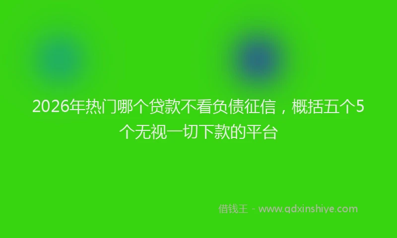 2026年热门哪个贷款不看负债征信，概括五个5个无视一切下款的平台