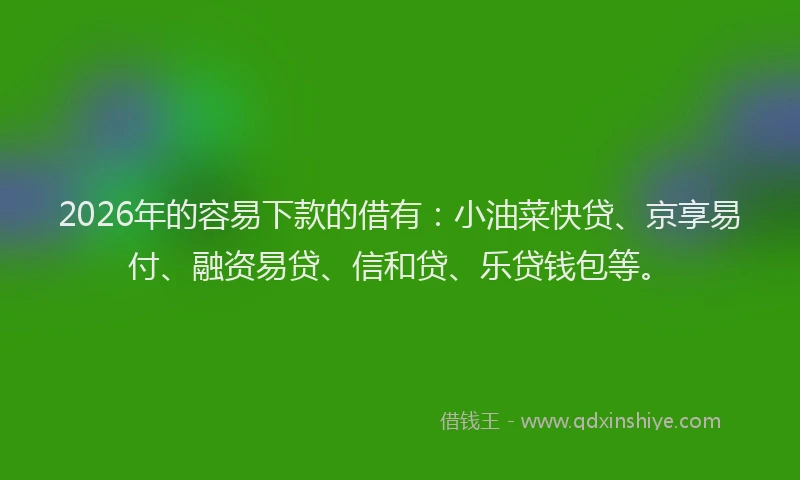 2026年的容易下款的借有：小油菜快贷、京享易付、融资易贷、信和贷、乐贷钱包等。